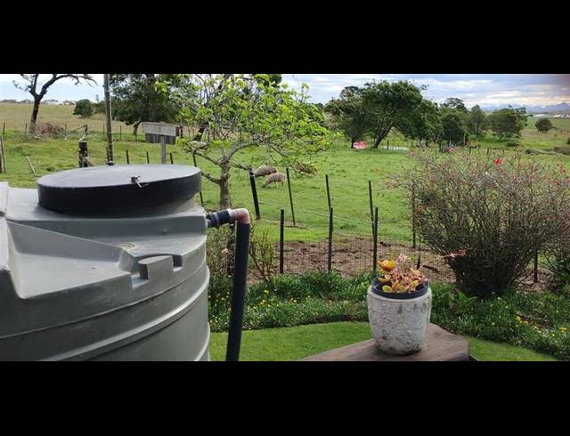 FARM FOR SALE IN GEORGE RURAL